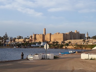 53498378_257371858499219_2668104177573429248_n