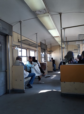 54731315_855322871473903_1408506285313228800_n